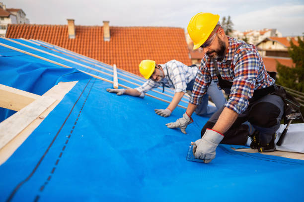 Best Roof Gutter Cleaning  in Brewster Heights, NY